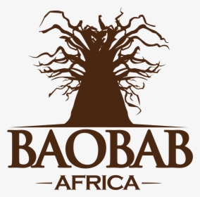 Baobab Africa - Tree, HD Png Download, Transparent PNG