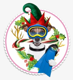 Hatfield Mccoy Christmas Disaster Dinner Feud Show - Dog, HD Png Download, Transparent PNG