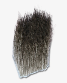 Moose Body Hair - Grass, HD Png Download, Transparent PNG