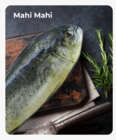 Mahi Mahi - Sauries, HD Png Download, Transparent PNG