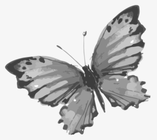 Transparent Steampunk Butterfly Png - Dibujos De Tinta China De Animales, Png Download, Transparent PNG