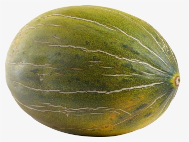 Download This High Resolution Melon Transparent Png - Melon Transparent, Png Download, Transparent PNG