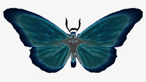 #butterfly #neon - Swallowtail Butterfly, HD Png Download, Transparent PNG