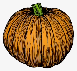 Vegetable,commodity,food - Pumpkin Drawing Transparent Background, HD Png Download, Transparent PNG