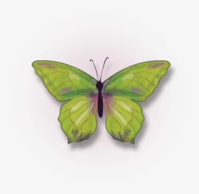 Big Butterfly - Callophrys, HD Png Download, Transparent PNG