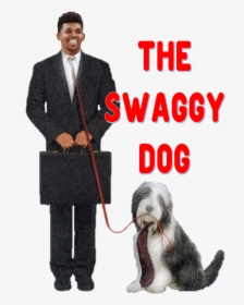 Disney's The Shaggy Dog Dvd, HD Png Download, Transparent PNG