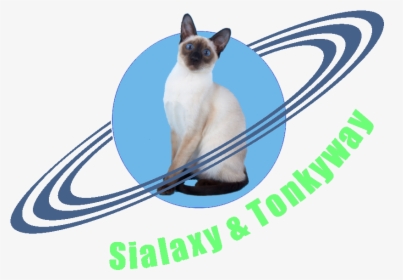 Transparent Siamese Cat Png - Planet With Rings Drawing, Png Download, Transparent PNG