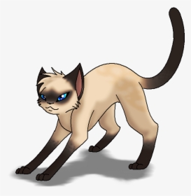 Collection Of Free Drawing Cats Siamese Cat Download - Siamese Cat Warrior Cats, HD Png Download, Transparent PNG