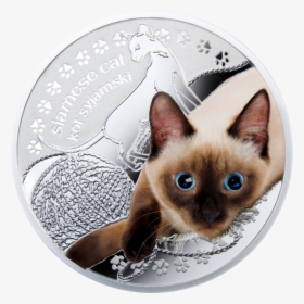 Swarovski Siamese Cat, HD Png Download, Transparent PNG