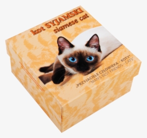 Siamese, HD Png Download, Transparent PNG
