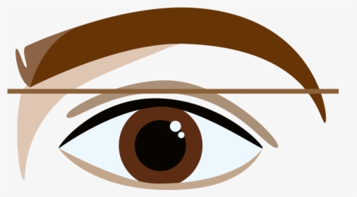 How To Shape Your - Eyebrow, HD Png Download, Transparent PNG