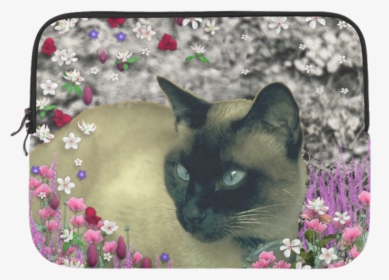 Stella In Flowers I Chocolate Cream Siamese Cat Microsoft, HD Png Download, Transparent PNG