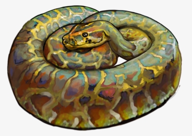 Burmese Floridian Python Image - Python, HD Png Download, Transparent PNG
