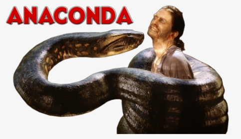 Png Anaconda, Transparent Png, Transparent PNG