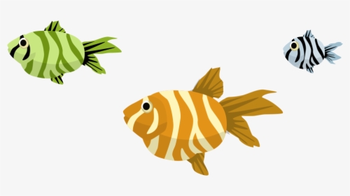 Coral Reef Fish Clipart , Png Download - Coral Reef Fish, Transparent Png, Transparent PNG