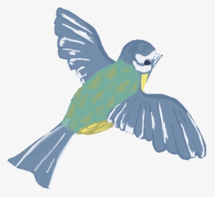 For People From Other Path Than 2d The Task Was To - Blue Jay, HD Png Download, Transparent PNG