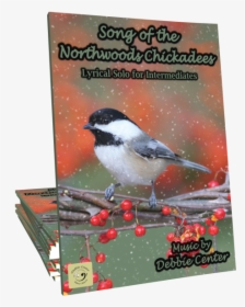 Song Of The Northwoods Chickadees By Debbie Center - Music, HD Png Download, Transparent PNG