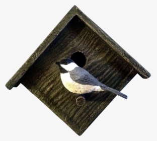 Black Capped Chickadee, HD Png Download, Transparent PNG