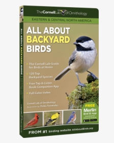 All About Backyard Birds - Eastern And Central North, HD Png Download, Transparent PNG