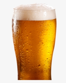 Delicious Beer, HD Png Download, Transparent PNG
