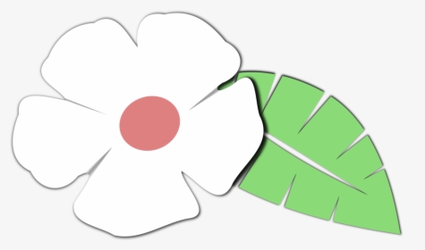 Petal,plant,flowering Plant - Clip Art, HD Png Download, Transparent PNG