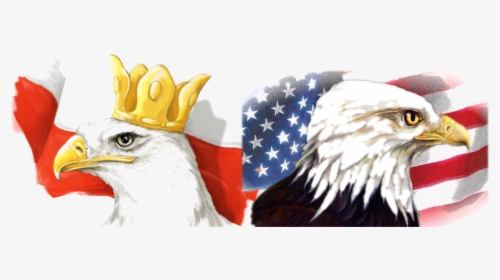 Toledo Polish-american Festival - Polish And American Eagle, HD Png Download, Transparent PNG
