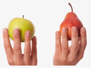 Compare Apples To Pears, HD Png Download, Transparent PNG