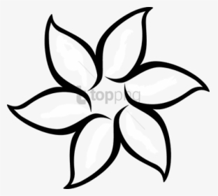 Free Png Floral Flower White Daffodil Daisy Tulip D - Simple Flower Outline, Transparent Png, Transparent PNG