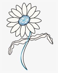 Daisy Drawing At Getdrawings - Draw Flowers Daisy, HD Png Download, Transparent PNG