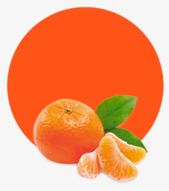 Mandarin Orange Fruit, HD Png Download, Transparent PNG