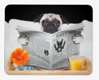 Pugs News Mouse Pad - Boarding Dogs, HD Png Download, Transparent PNG