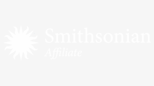 Calligraphy, HD Png Download, Transparent PNG