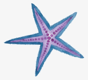 Two Color Hand Painted Starfish Cartoon Watercolor - Watercolor Star Fish Png, Transparent Png, Transparent PNG