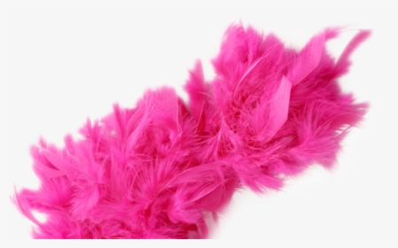 Transparent Feather Boa Png - Pink Feather Boa Png, Png Download, Transparent PNG