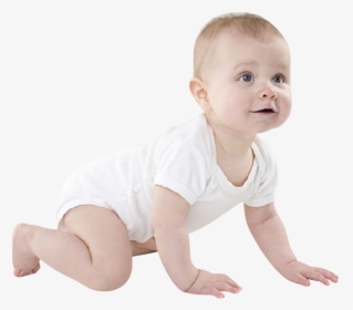 Infant Child Crawling - Baby Crawling Transparent Background, HD Png Download, Transparent PNG