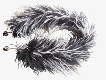 Feather Boa Png, Transparent Png, Transparent PNG