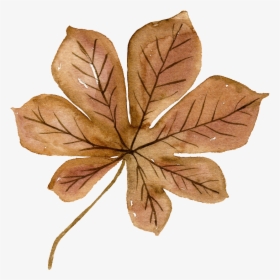 This Graphics Is Watercolor Brown Flowers Free Matting - Watercolor Transparent Brown Flower Png, Png Download, Transparent PNG