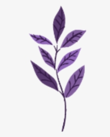 #ftestickers #watercolor #leaves #purple - Watercolor Leaves Purple Png, Transparent Png, Transparent PNG