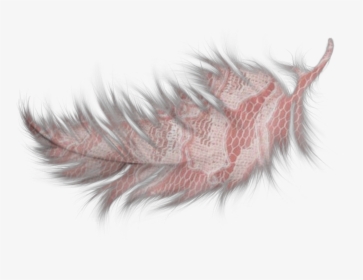 #feather #feathers #pink #decorate #inair #fly - Transparent Teal Blue Feathers, HD Png Download, Transparent PNG