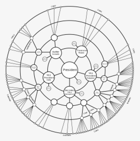 Radial Tree, HD Png Download, Transparent PNG