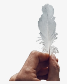 Feather Duster Png - Paper, Transparent Png, Transparent PNG