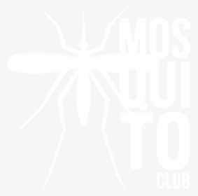 Mosquito Club - Crane Flies, HD Png Download, Transparent PNG