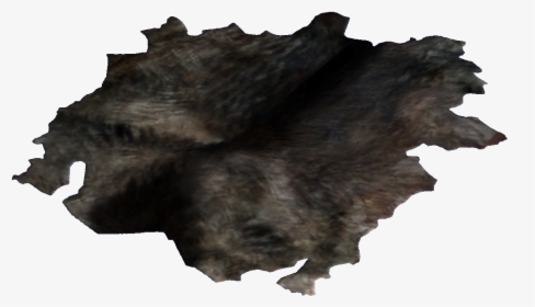 Dog Hide - Шкура Пнг, HD Png Download, Transparent PNG