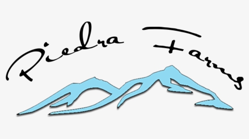 Picture, HD Png Download, Transparent PNG