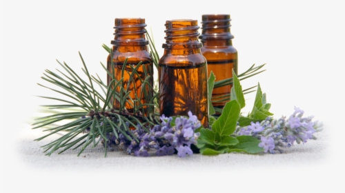 Why Use A Certified Aromatherapist - Aromatherapy Png, Transparent Png, Transparent PNG