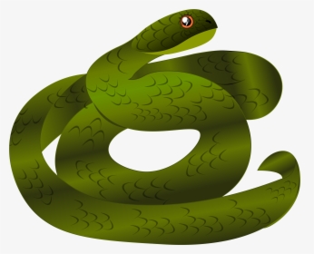 A Snake Icon Designed On Illustrator - Smooth Greensnake, HD Png Download, Transparent PNG