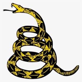 Collections At Sccpre Cat - Dont Tread On Me Pepe, HD Png Download, Transparent PNG