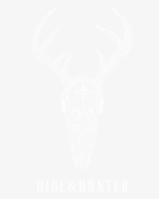 Hide Png, Transparent Png, Transparent PNG