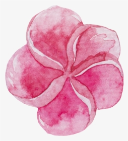Transparent Sweet Pea Png - Watercolor Stickers Download, Png Download, Transparent PNG
