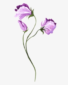 Watercolor Hand-painted Purple Floral Transparent Decorative - Watercolor Painting, HD Png Download, Transparent PNG